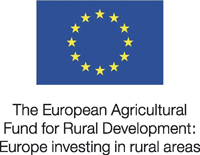 EU Logo